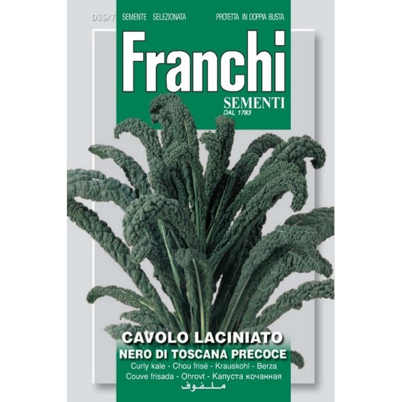 Nero Laciniato Di Toscana Palm Tree Cabbage Kale Tuinzaden Eu