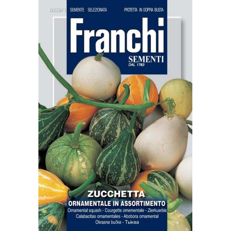 Mixed Ornamental Gourd seeds Gourds Flower seeds • Tuinzaden.eu