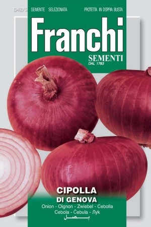 Di Genova red onion seeds