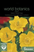 Eastern Horned Poppy - Dicranostigma franchetianum seeds