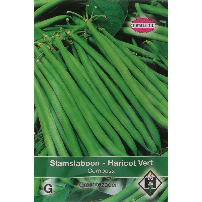 Compass Haricot Vert dwarf bean seeds Needle Beans Verts • Tuinzaden.eu