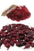 Winter Plant onions Akado Red Arrow - 250g