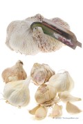 Winter Garlic Messidrome - Germidour  - 250 gram