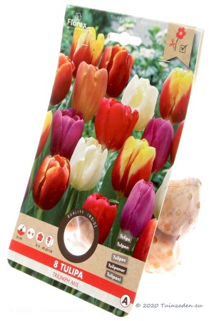 Triumph Tulips Mixed -...