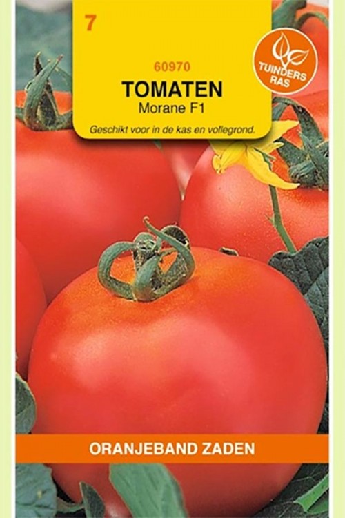 Morane F1 - Tomaten zaden