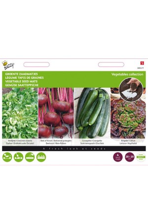 Vegetable Seedmat 4 x 20x20cm