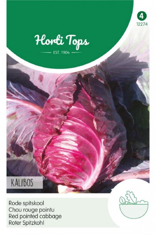 Kalibos - Red pointed Cabbage seeds