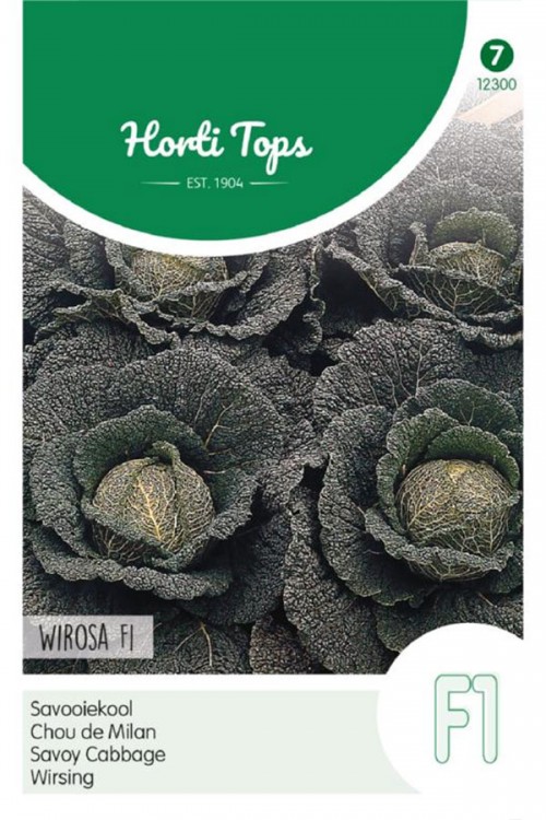 Wirosa F1 - Savoy Cabbage seeds
