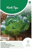 Tronchuda - Fodder Kale Marrow stem seeds