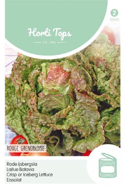 Rouge Grenobloise Iceberg - Crisp Lettuce seeds