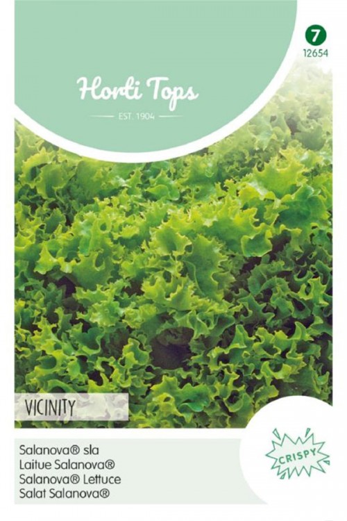 Salanova Vincinity - Lettuce seeds