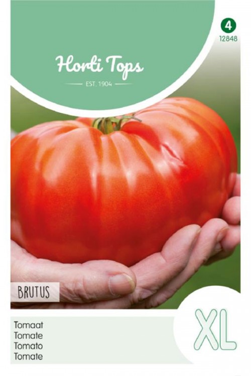 Brutus XL- tomaat zaden