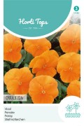 Oranjezon - Viooltjes zaden