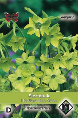 Lime Green Flowering Tabacco - Nicotiana seeds