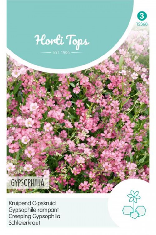 Roze Kruipend Gipskruid Gypsophila zaden