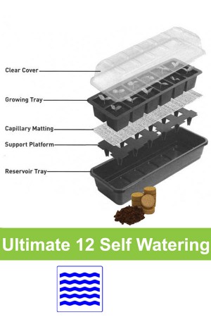 Self watering 12 cell...