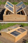 Chili Pepper wooden greenhouse