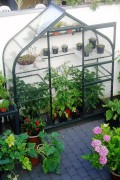 Supreme Wall Garden + FREE 15 EUR seed package