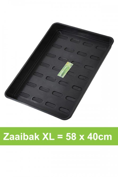 Zaaibak XL zonder gaten - 58 x 40cm - G154