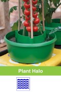 Plant Halo bewatering bescherming