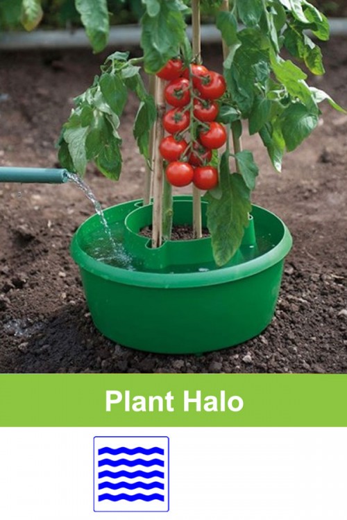 Plant Halo self watering protection