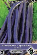 Amethyst Purple dwarf bean seeds