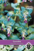 Kiwi Blue Honeywort - Cerinthe seeds
