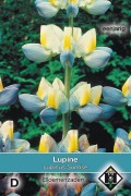 Sunrise Lupinus cruickshankii - Lupine seeds