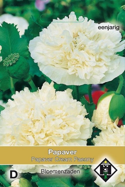 Cream Paeony - Papaver paeoniflorum zaden