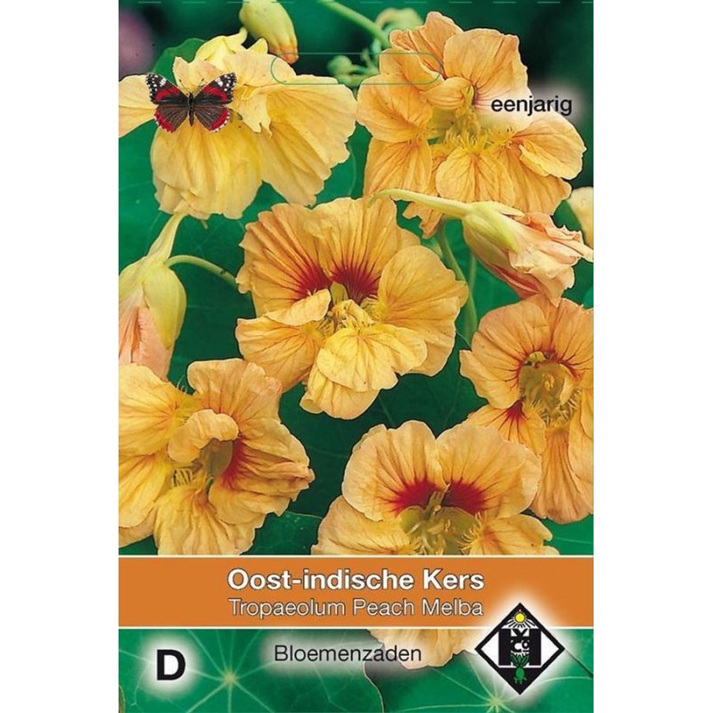 Dalmation Peach F1 Vingerhoedskruid zaden Digitalis kopen? Tuinzaden.eu