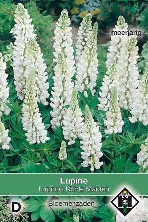 Noble Maiden Lupinus - Lupine zaden