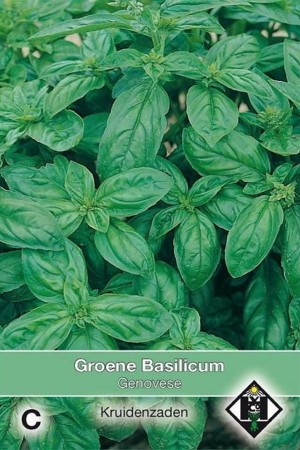 Genovese Green Basil seeds