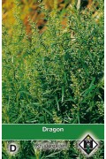 Tarragon Dragon seeds