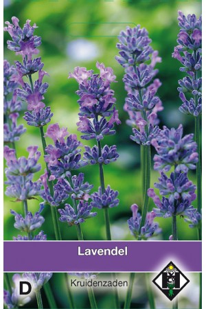 Lavendel zaden
