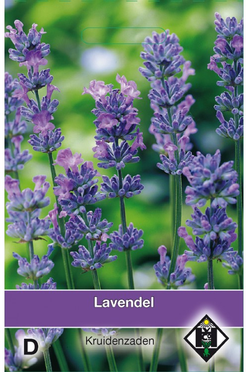 Lavendel zaden