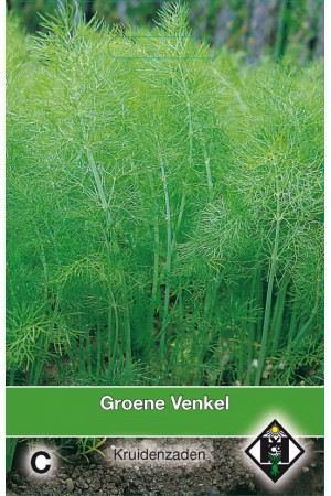 Green Fennel seeds