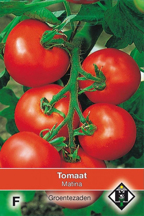 Matina tomaten zaden