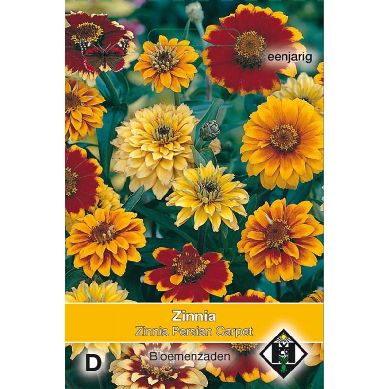 Persian Carpet Zinnia seeds Seeds • Tuinzaden.eu