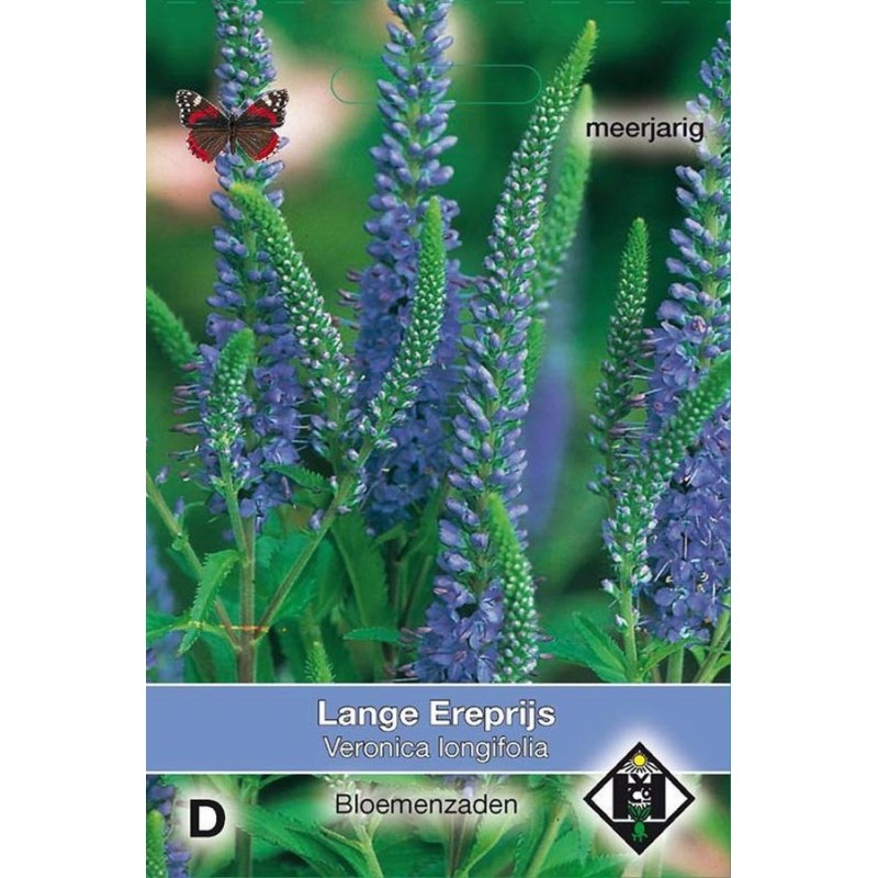 Longleaved Speedwell Veronica seeds Seeds • Tuinzaden.eu