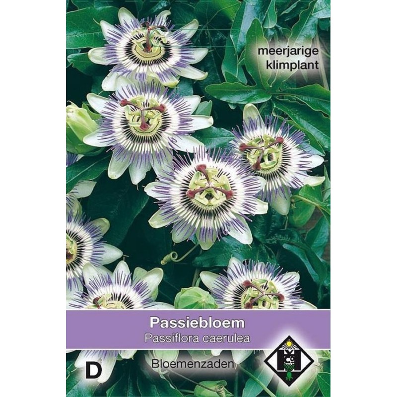 bulk Passiflora Caerulea Passion Flower 350 Seeds Home & Garden Seeds