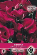 Zorjia Rose Sweet Pea Lathyrus seeds