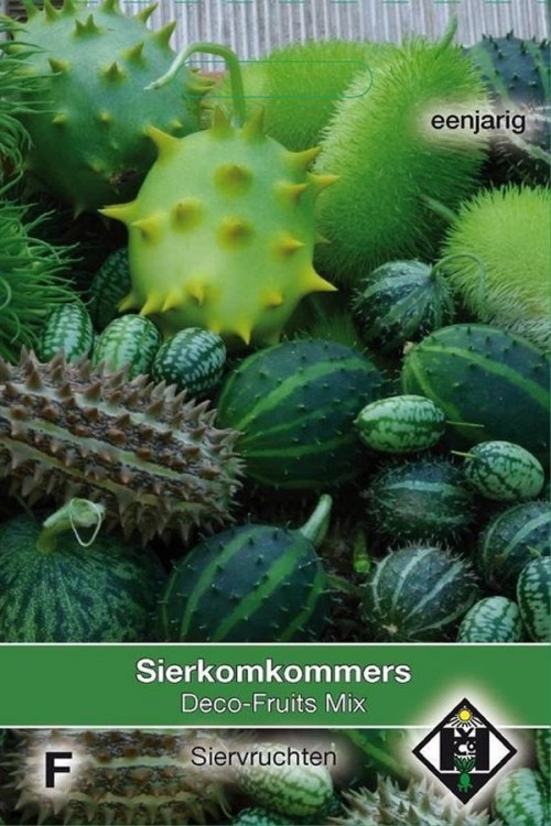 Deco Fruits Sierkomkommers zaden