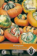 Turkish Turban Pumpkin seeds
