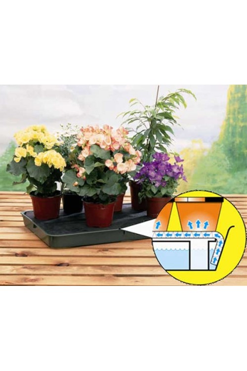 Self Watering green plant tray G70 watering trays • Tuinzaden.eu