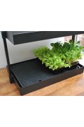 Self Watering green plant tray - G70