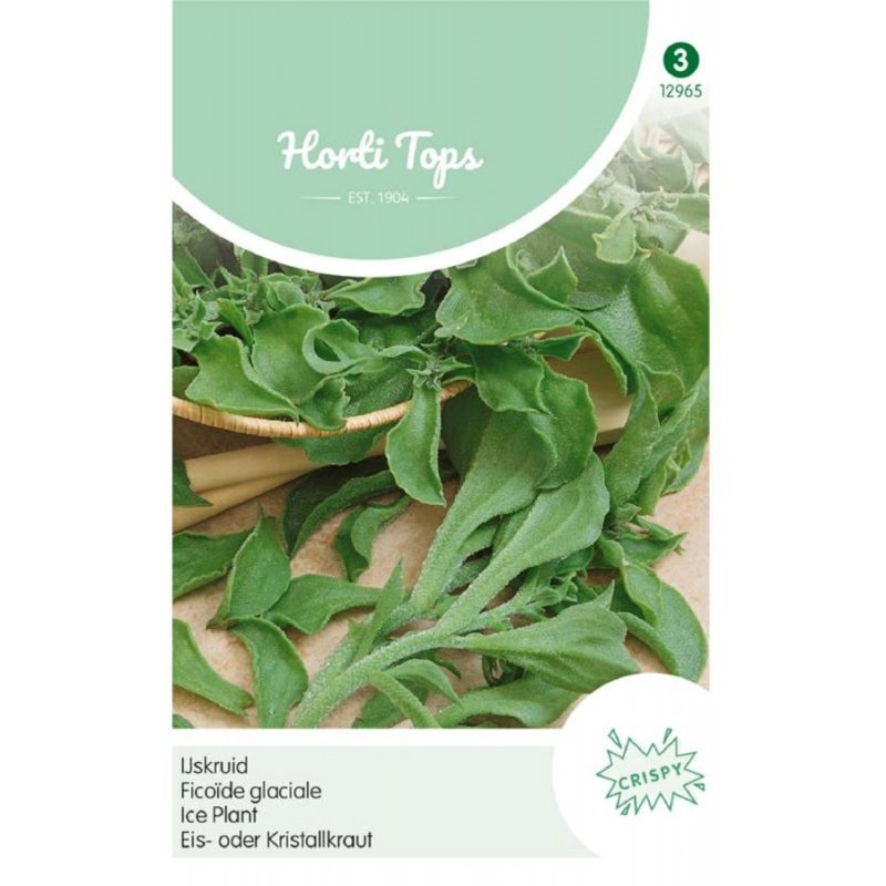 Ice Plant Vegetable seeds Leafy vegetables Seeds • Tuinzaden.eu