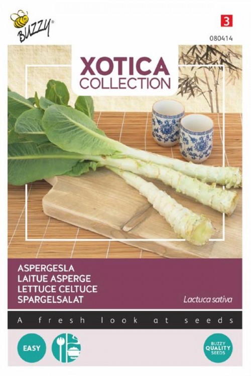 Lettuce Celtuce seeds