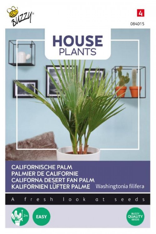 Californian palm seeds