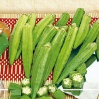 Okra - Lady's Fingers - Vegetable seeds Seeds • Tuinzaden.eu