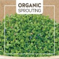 Organic Sprouting